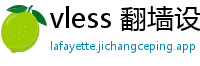 vless 翻墙设置