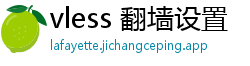 vless 翻墙设置